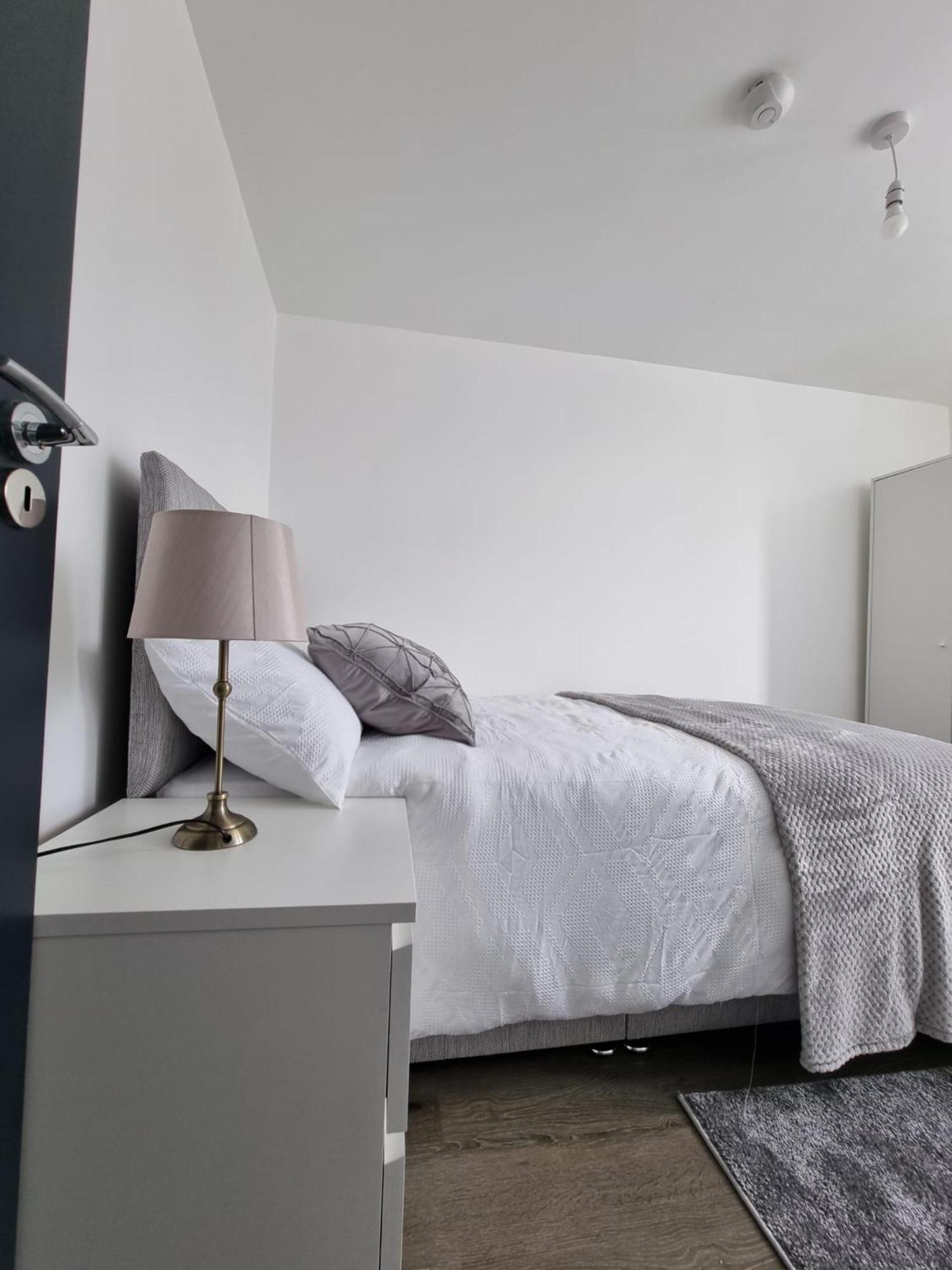 Modern Guesthouse, Fast Wi-Fi, Street Free Parking, Central, Fully Equipped 卡迪夫 客房 照片